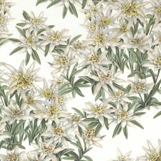 Edelweiss Floral Print Italian Paper ~ Tassotti
